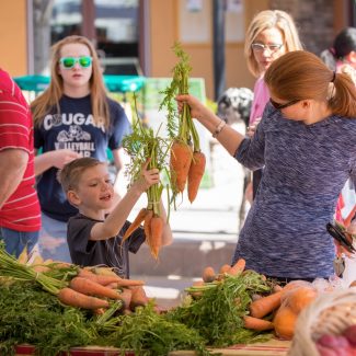 boy looking at carrots at farmers market