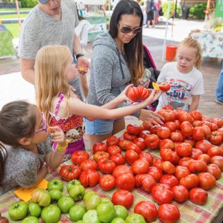 family buying tomatoes at farmers market