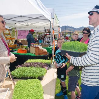 man buying grass at farmers market