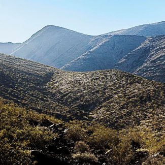 black mountain nevada