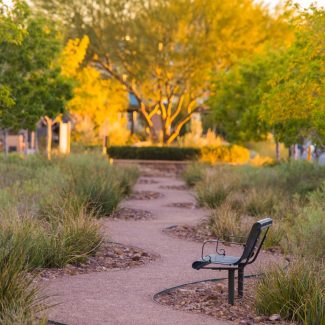 winding path