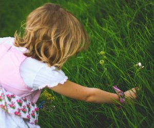 junior gardeners las vegas new homes