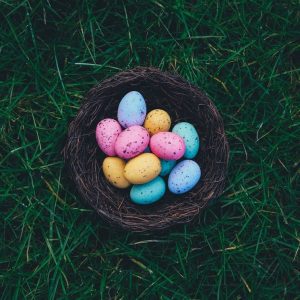 colorful eggs in basket