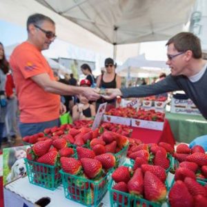 strawberries for sale at farmers market