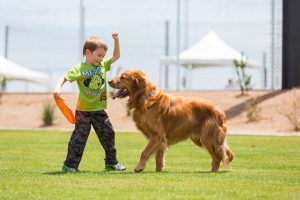 kid playing frisbee with dog