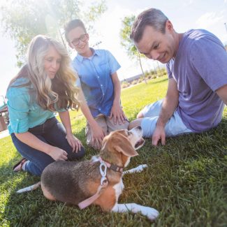 family plays with beagle