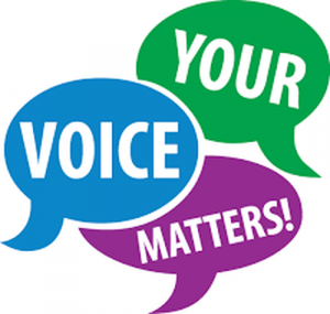 your voice matters graphic