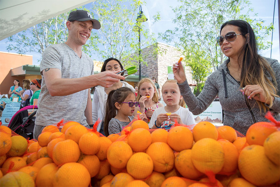 selecting oranges at farmers market