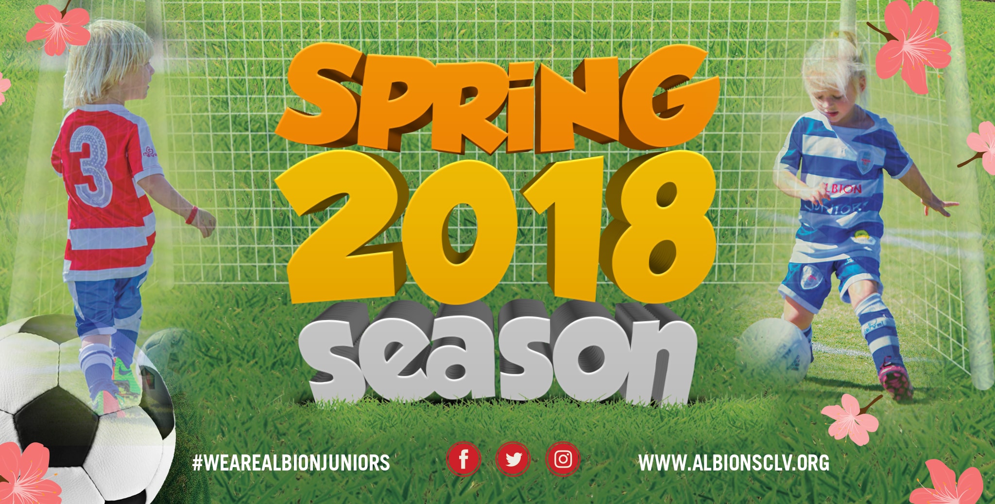 real bion juniors spring 2018 season graphic
