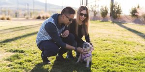 Nic Miranda, his wife, and their French Bulldog, Lilo, sit in a grassy field at Inspirada in Henderson, NV.