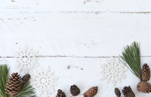 Pine cones and snowflakes on a white background.