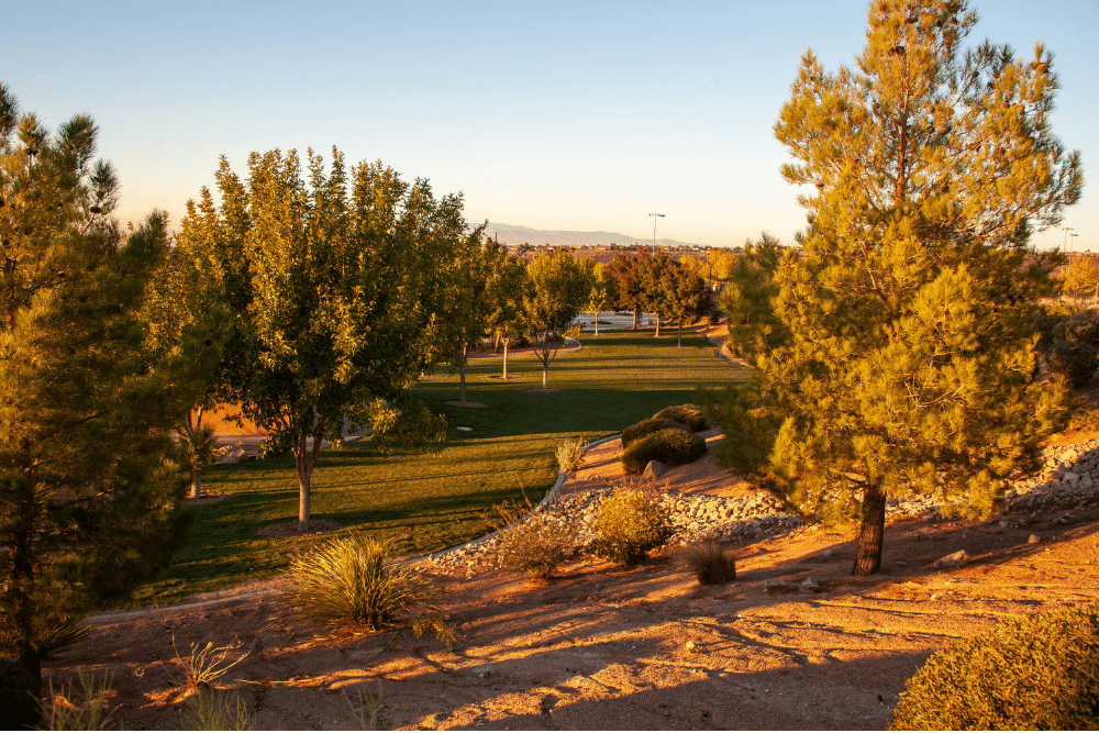 6-reasons-why-you-ll-love-living-in-henderson-nv-inspirada