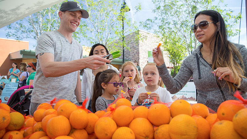 orange samples at a farmers market