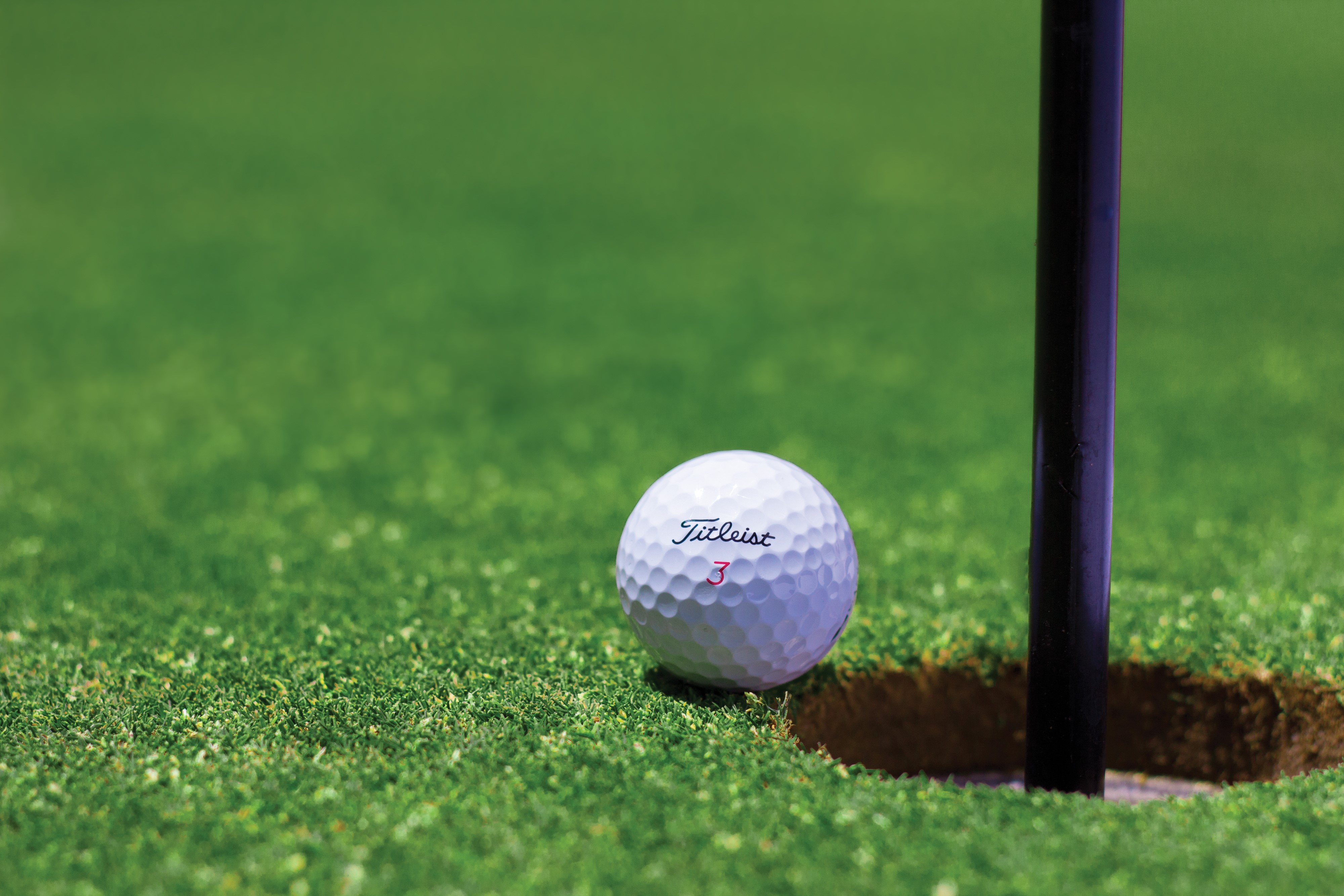 A golf ball on the putting green.