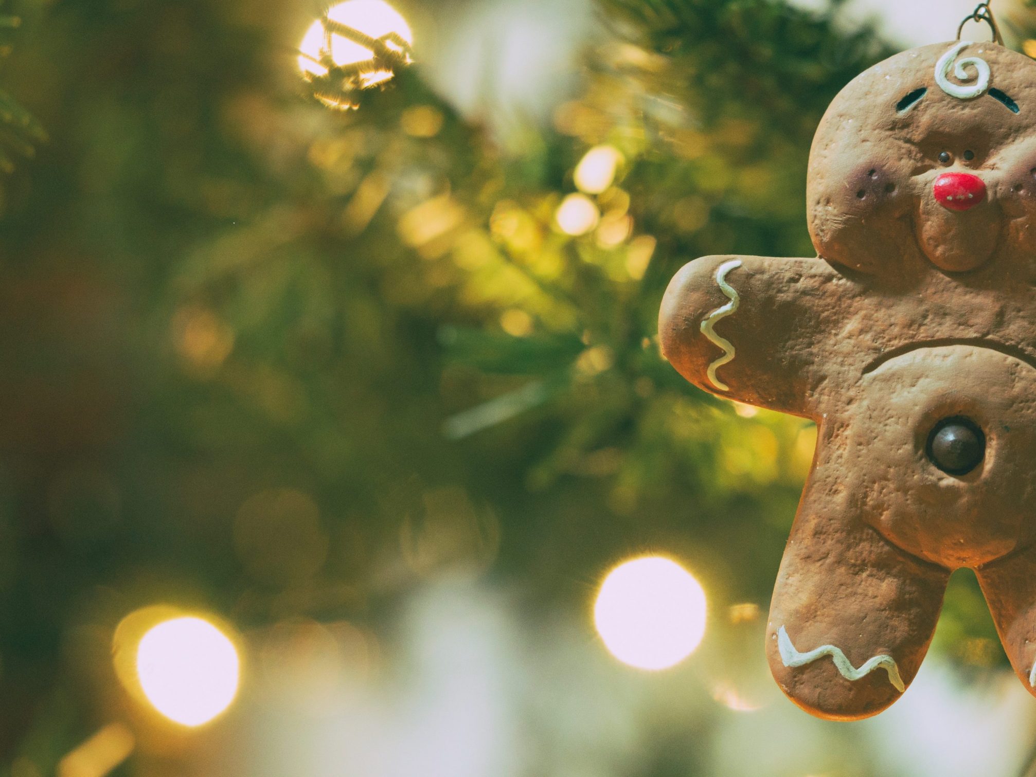 Visit us for the Holiday Village at Inspirada
