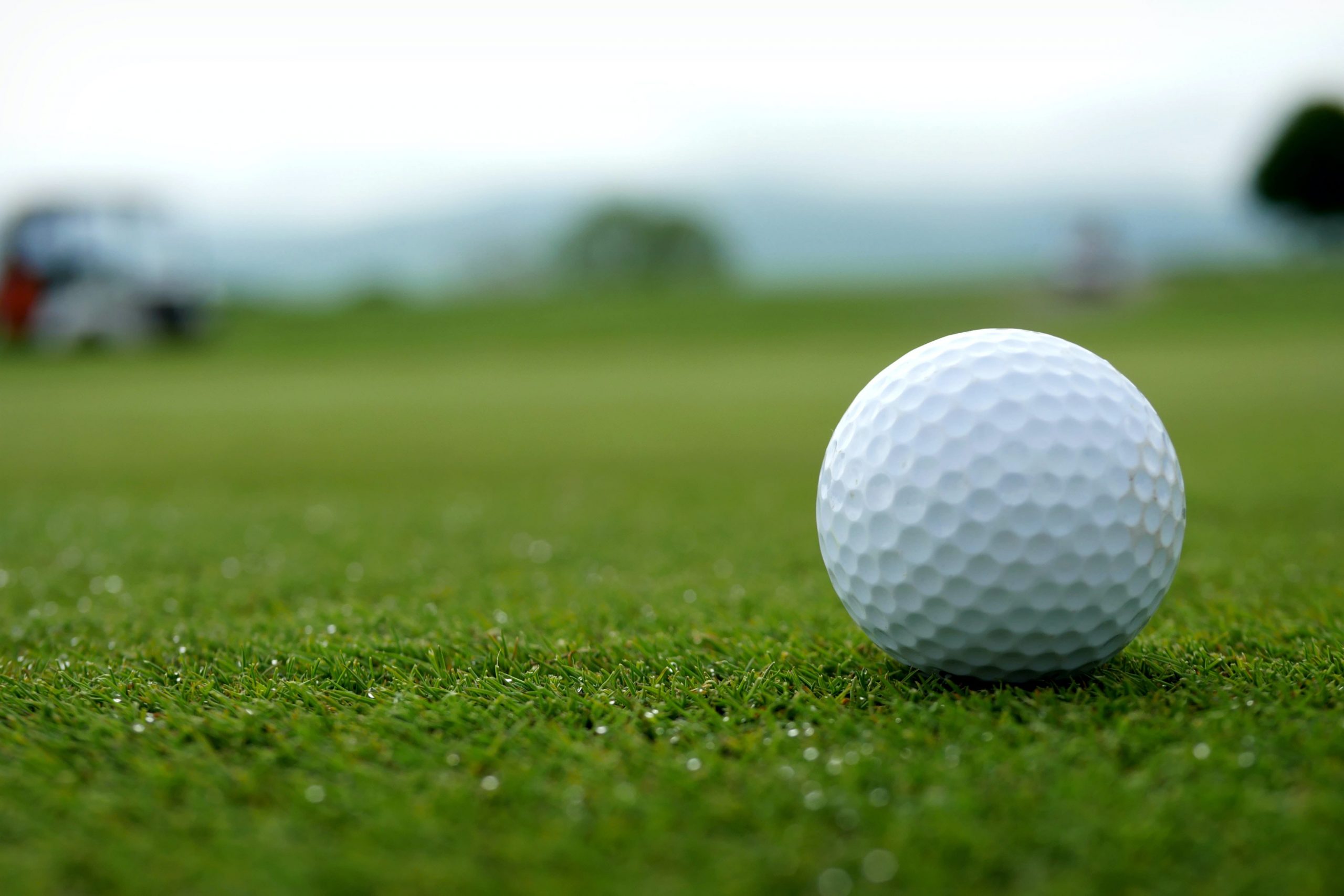 A golf ball sits on green grass