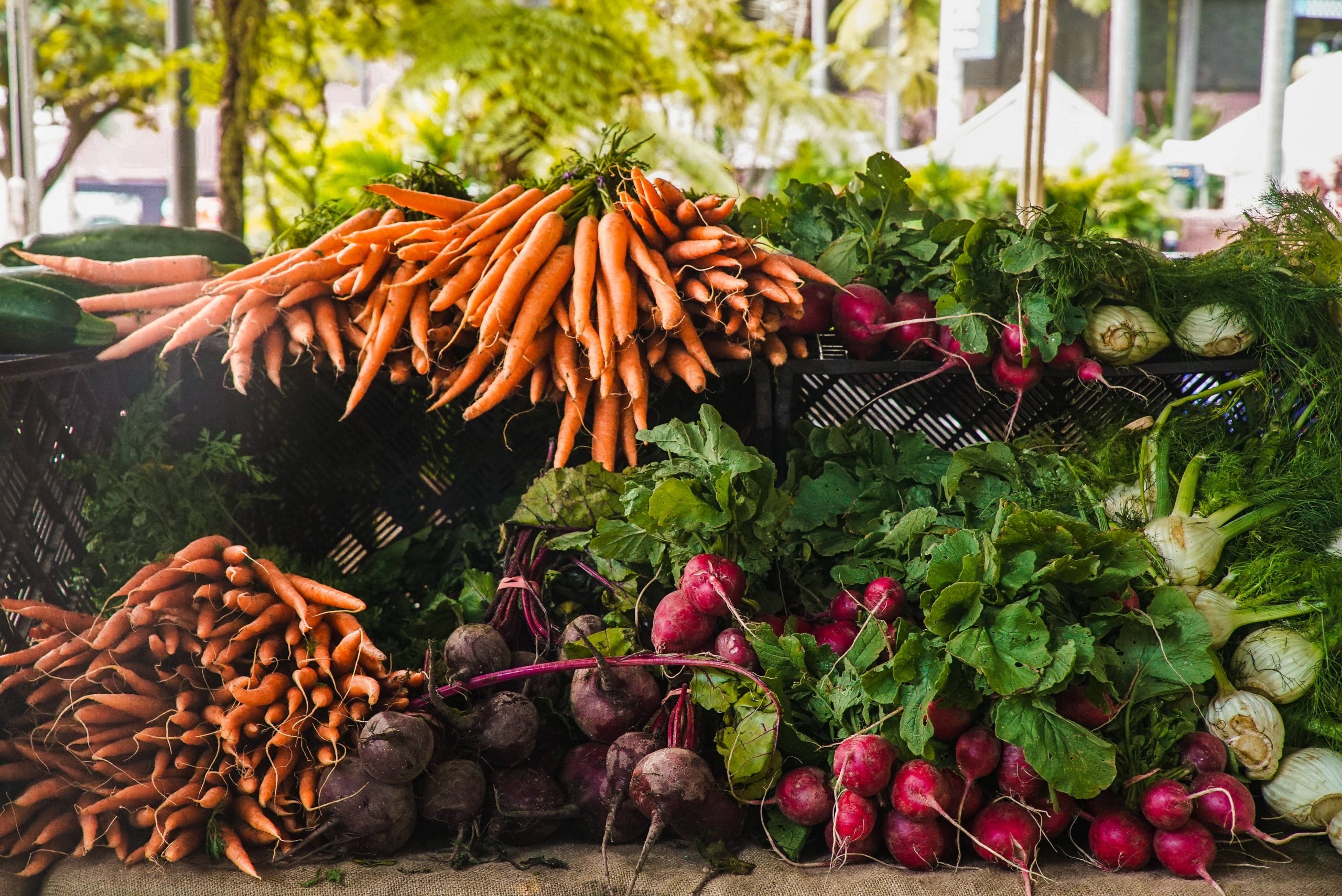 Radish and carrots on a table outside